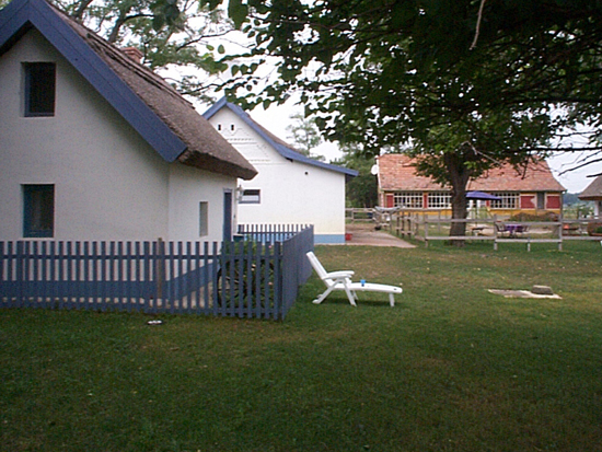 Image02