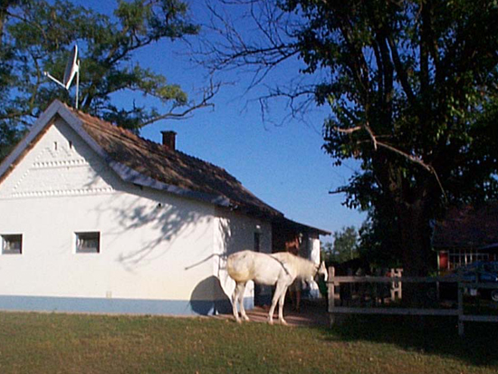 Image09